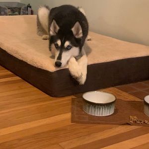 Meet your Posher, Sasha